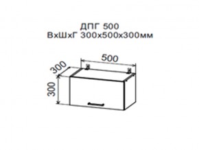 Шкаф верхний ДПГ500 горизонтальный в Чердыни - cherdyn.magazin-mebel74.ru | фото