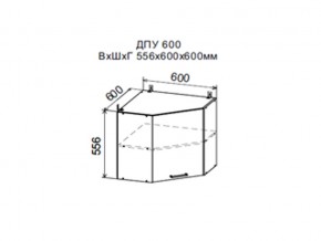 Шкаф верхний ДПУ600 угловой в Чердыни - cherdyn.magazin-mebel74.ru | фото